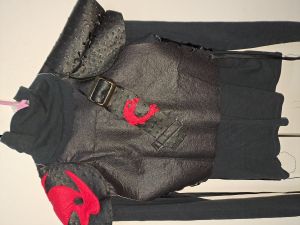 Kids Costumes to Hire - Hiccup How to train dragon - BOY - 8 - 9 Years